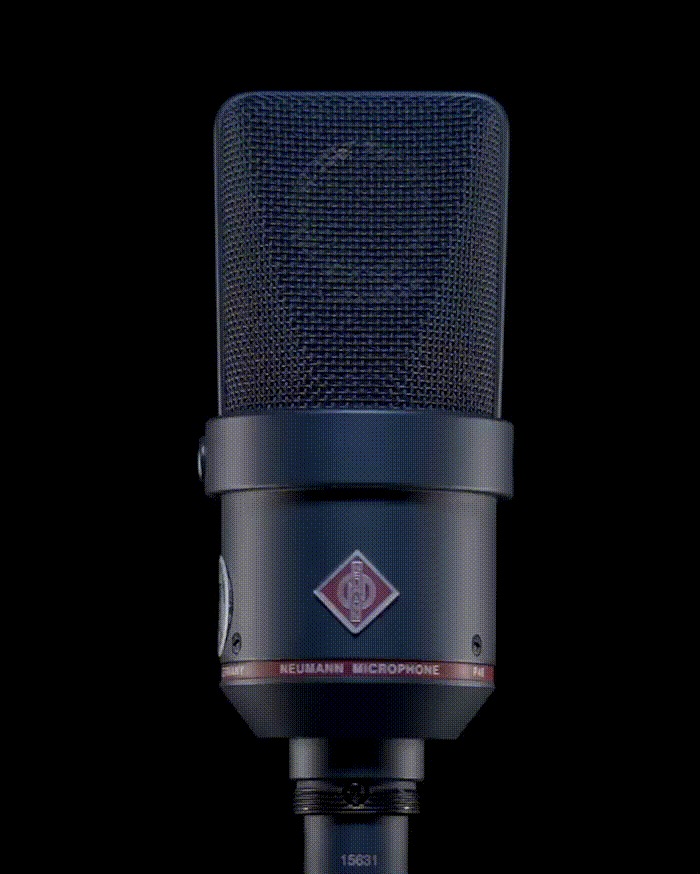 Neumann TLM 170 R